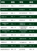 深圳德朗睿思国际学校21年招生政策，附规划成绩